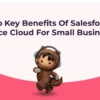 Top Key Benefits Of Salesforce Service Cloud For Small Businesses
