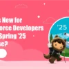 Salesforce Spring 25 Release Top Features Every Salesforce Developer Should Know- Part II