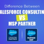 Salesforce Consulting Partner vs Managed Service Provider-2-03